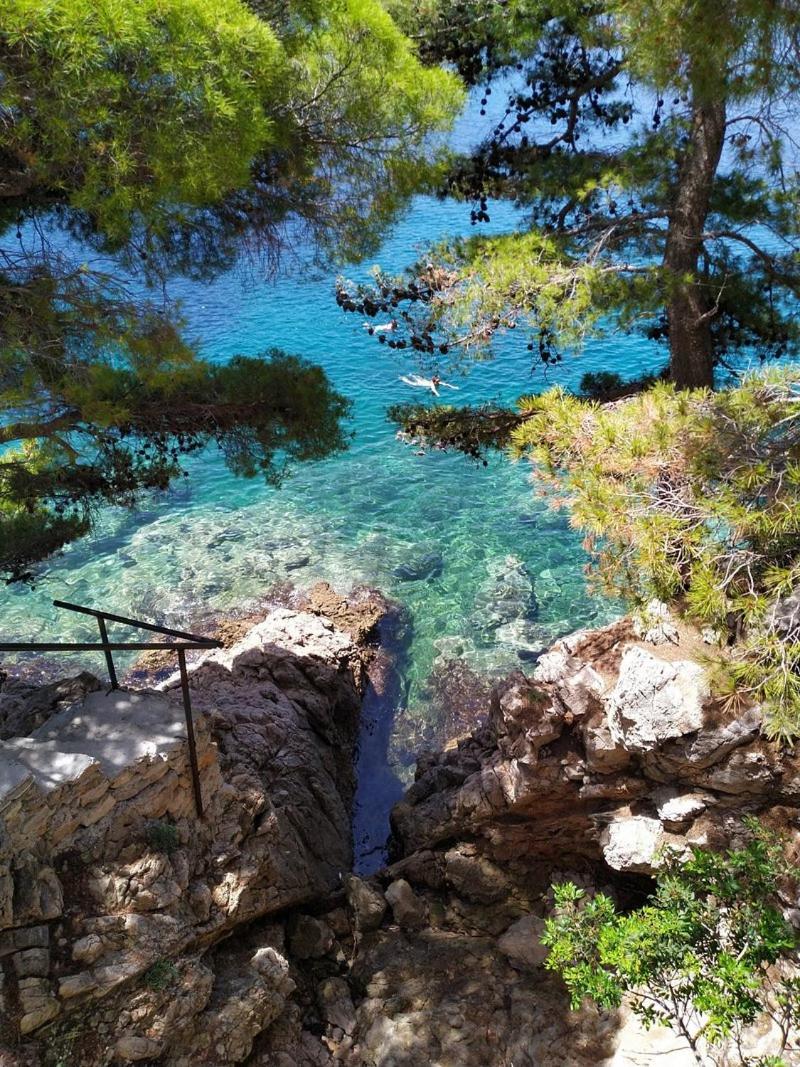 Apartments Villa Alba Dubrovnik Bagian luar foto