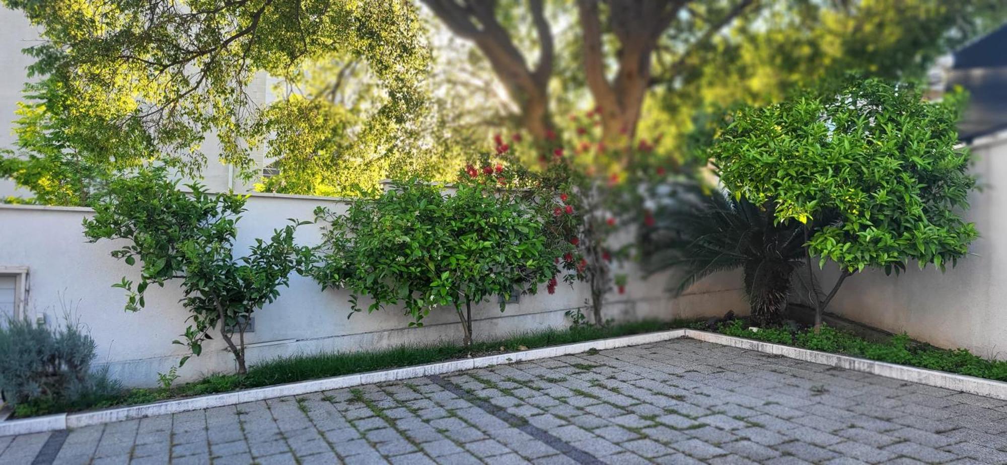 Apartments Villa Alba Dubrovnik Bagian luar foto