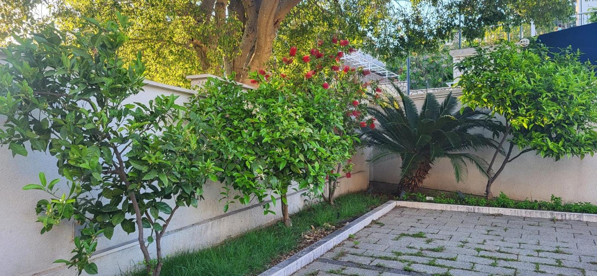 Apartments Villa Alba Dubrovnik Bagian luar foto